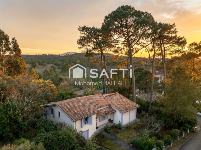 Pyla, lisière de forêt : vue dune et grand terrain
